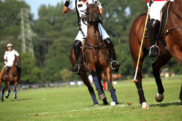 Polo Competition