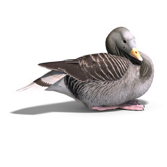 grey goose