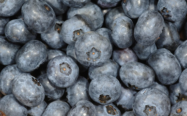 Heidelbeeren