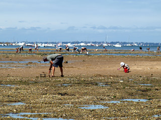 ramasseurs de bulots