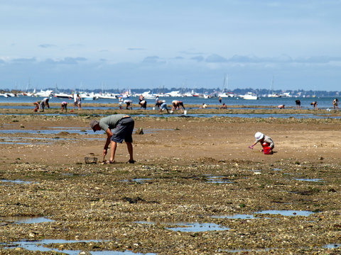 ramasseurs de bulots