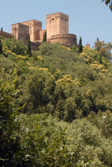 Fototapeta na wymiar alhambra granada