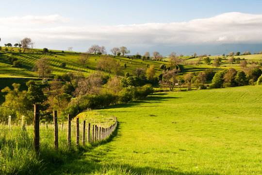 Smardale