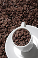 Coffee Cup and Beans