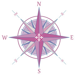 Retro compass with fleur-de-lis