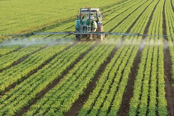 Photo sur Plexiglas Tracteur tracteur agricole stérilisant un champ
