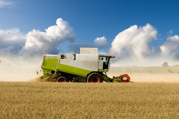 Fototapeta premium Harvesting Combine
