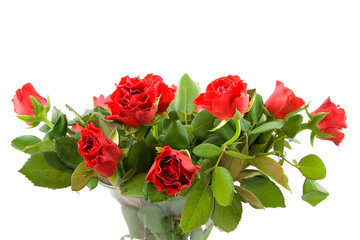 Bouquet of red roses in vase over white background