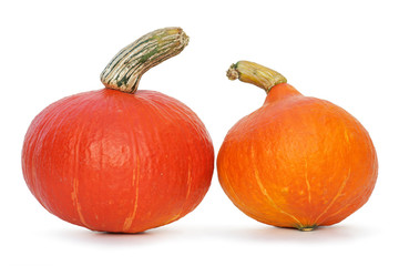 Hokkaido Pumpkins 03