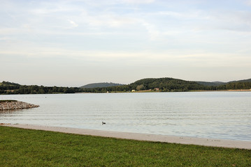 See