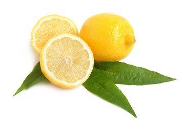 Lemon citrus