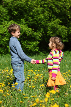 boy and  girl handshaking among blossoming dandelions