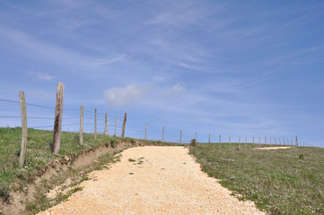 camino