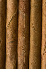detail of cuban cigar