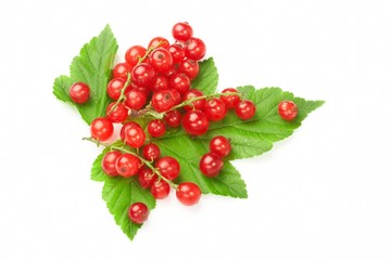 Red currant fruit and green leaves.