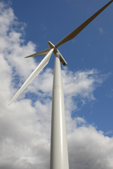 Wind Turbine