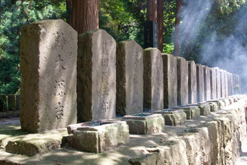 Historical tombstones at Iimoriyama, Japan