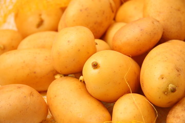 pomme de terre