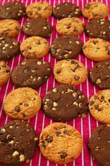 Chocolate cookie biscuits