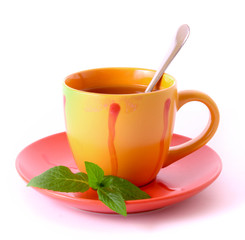 Cup of green tea on the saucer with mint.