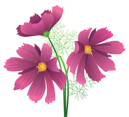 Beautiful vector flower for design