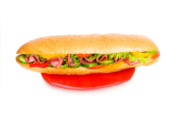 Long sandwich isolated on the white background