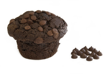 Chocolate Muffin
