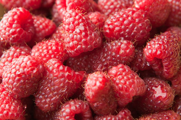 frische rote reife Himbeeren