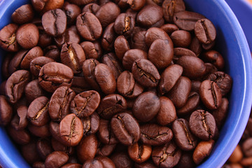 Coffee beans in blue cup isolated on white