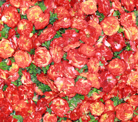 grunge of rosa blossom