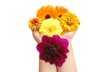 Female hand with beautiful flowers on a white background