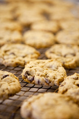 Fresh Cookies