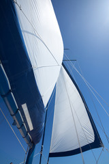 Fototapeta premium sail in wind