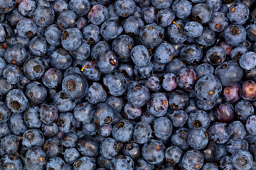 lots of blueberries