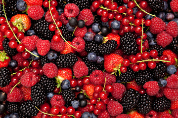 mixed berries