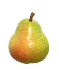 appetizing pear