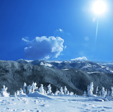 Fototapeta Winter mountains
