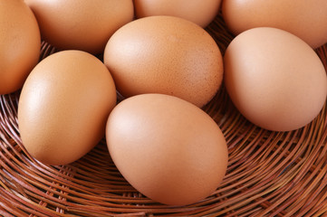 Brown chicken eggs