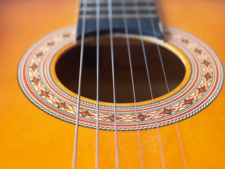 Guitar