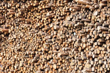 Stapel mit BAumstämmen