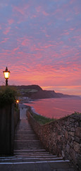 Conaught gardens at sidmouth © Oliver Taylor