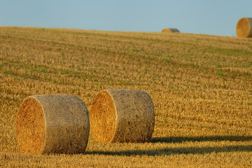 Strohballen in der Abendsonne
