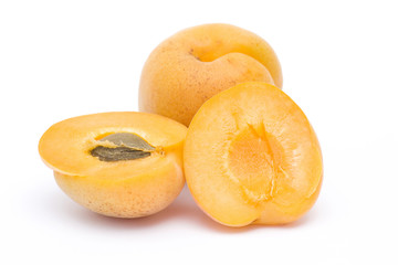 apricots on white background