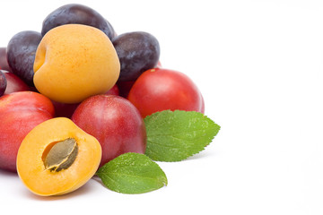 fresh plums on white background
