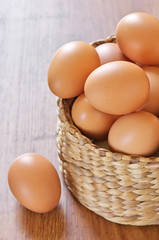 Brown chicken eggs