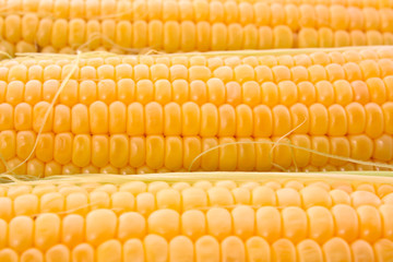 Three corns background