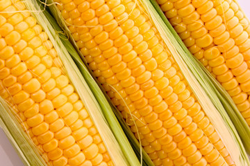 Three corns background