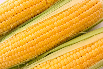 Three corns background