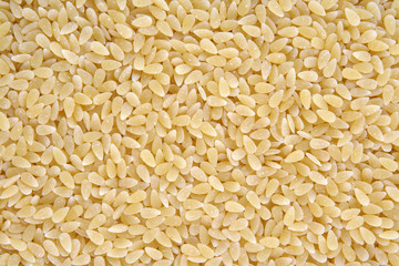 Orzo