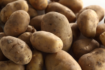 Kartoffeln _Linda_